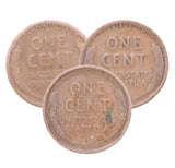 1909, 1910 & 1911 Philadelphia Wheat Cent Set (No Vdb)