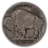 Buffalo Nickel (1913 - 1938)
